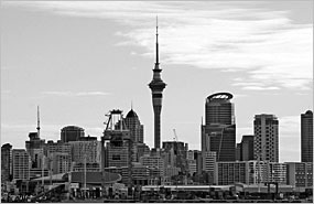 Welcome to Auckland Legal